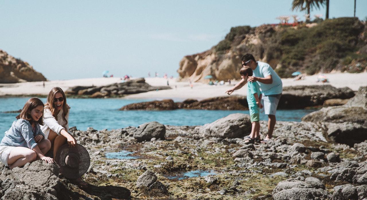 欣赏金银岛海滩潮汐池中的海洋生物