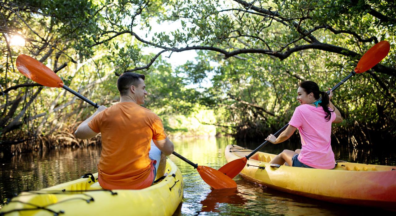 一对夫妇在红树林中划着皮划艇