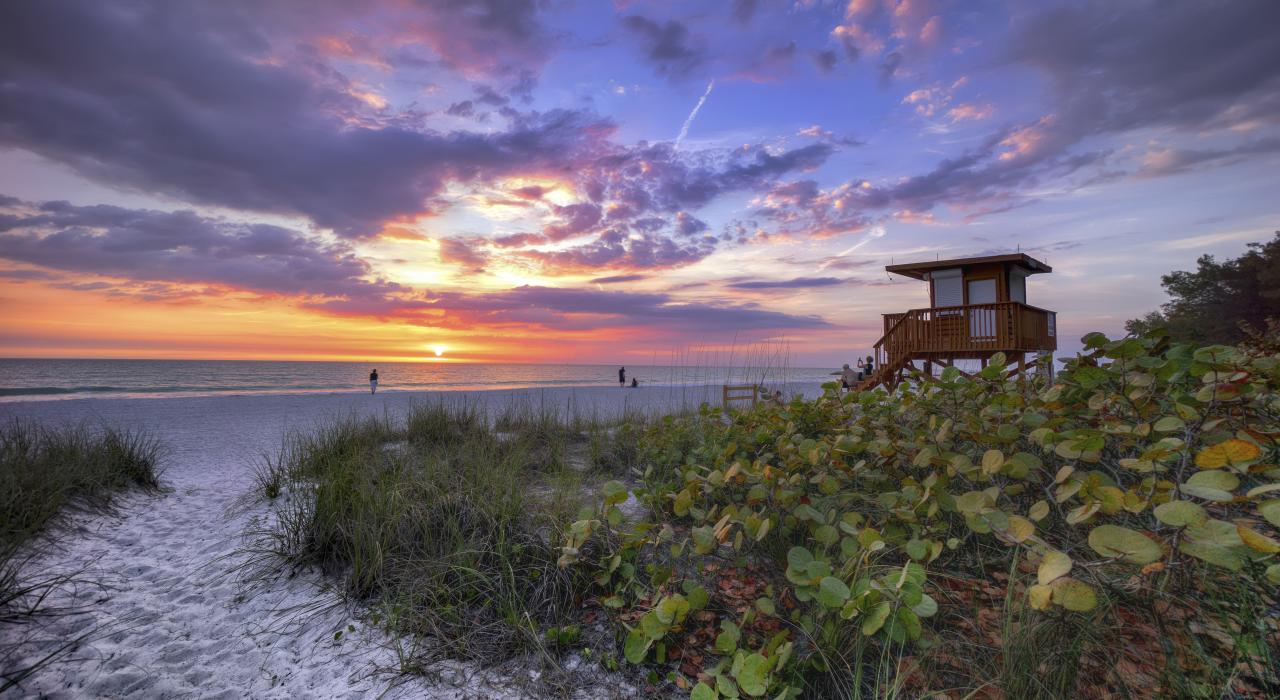 海滩游客在科奎纳海滩欣赏日落美景