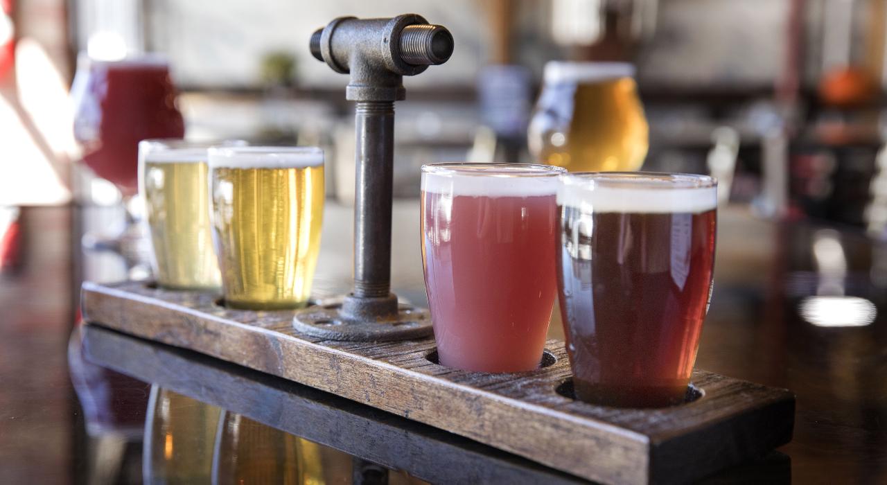 Bond's Brewing Company 酿酒厂的当地精酿啤酒之旅