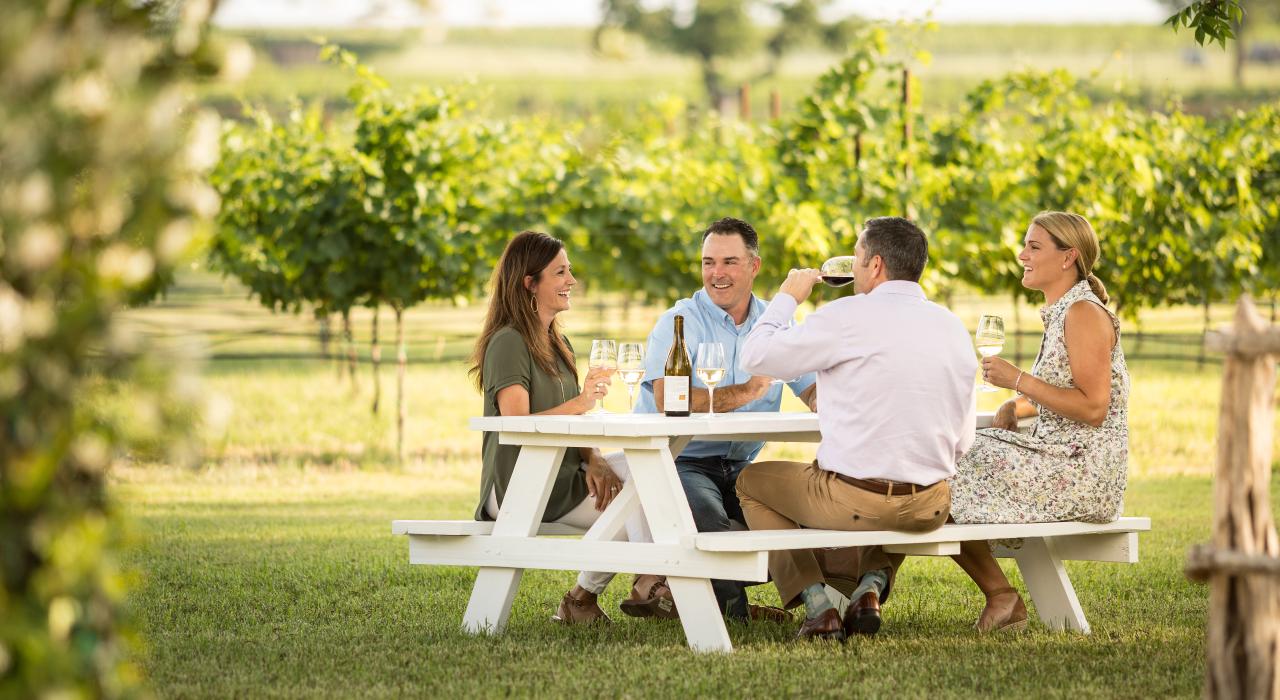 在 Signor Vineyards 酒庄的葡萄园品酌美酒