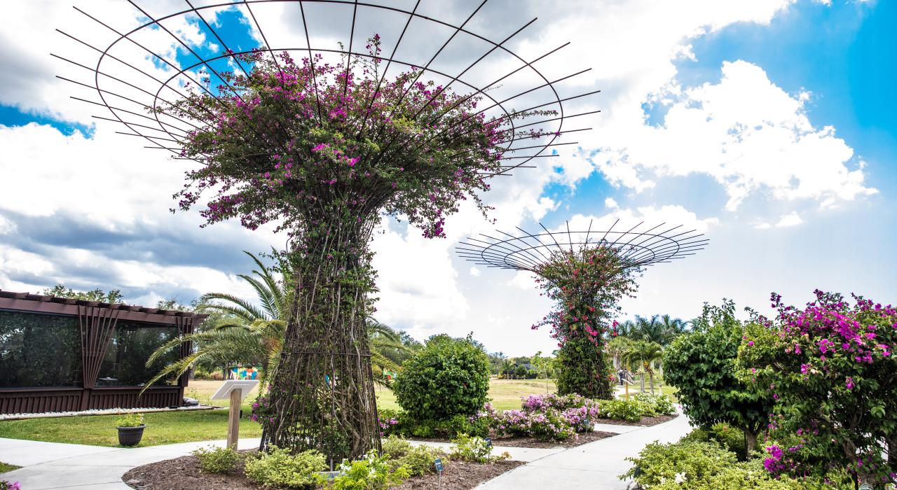 蓬塔戈尔达皮斯河植物和雕塑花园中的树形花架