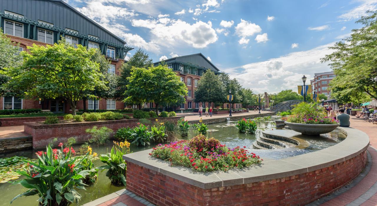 马里兰州弗雷德里克市中心卡罗尔河公园周围鲜花盛开