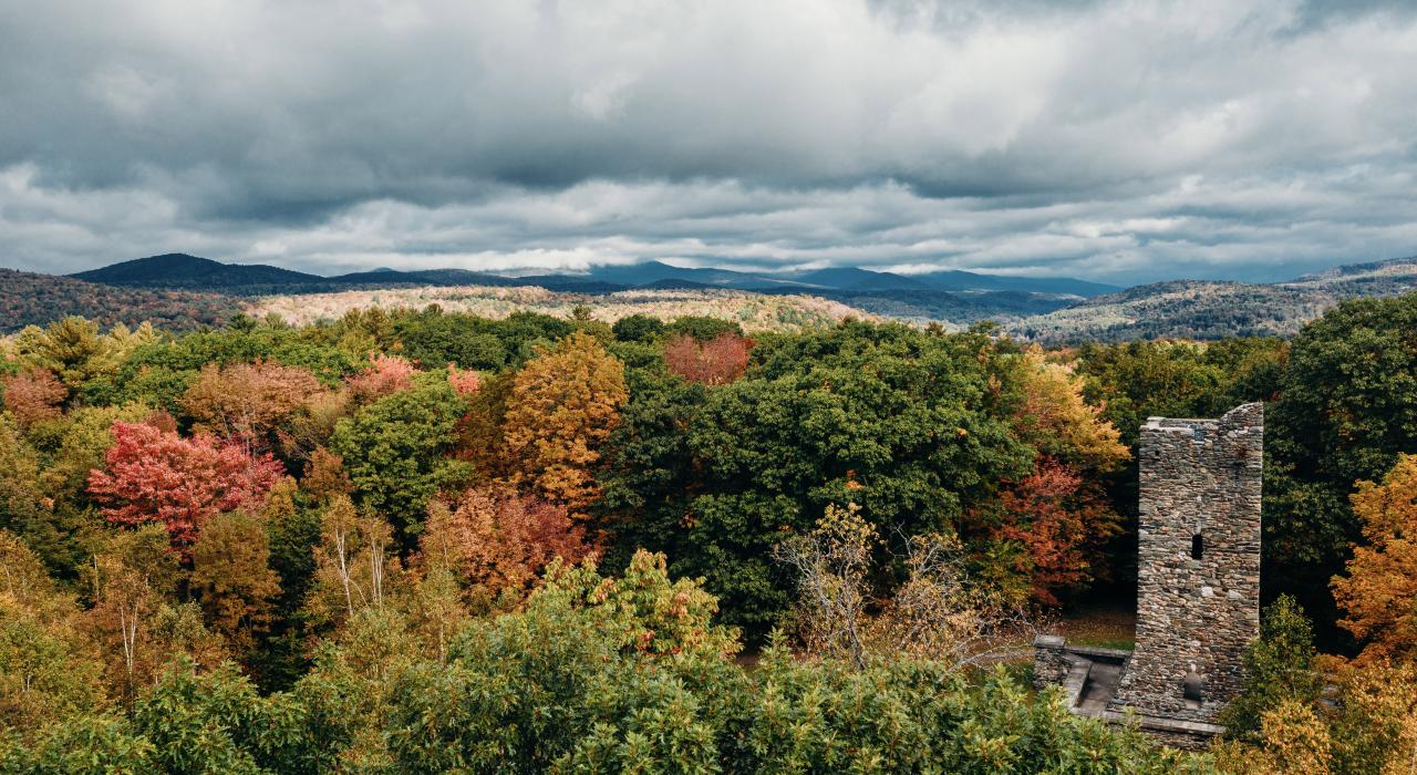 佛蒙特州蒙彼利埃哈伯德公园里的树木染上了秋色
