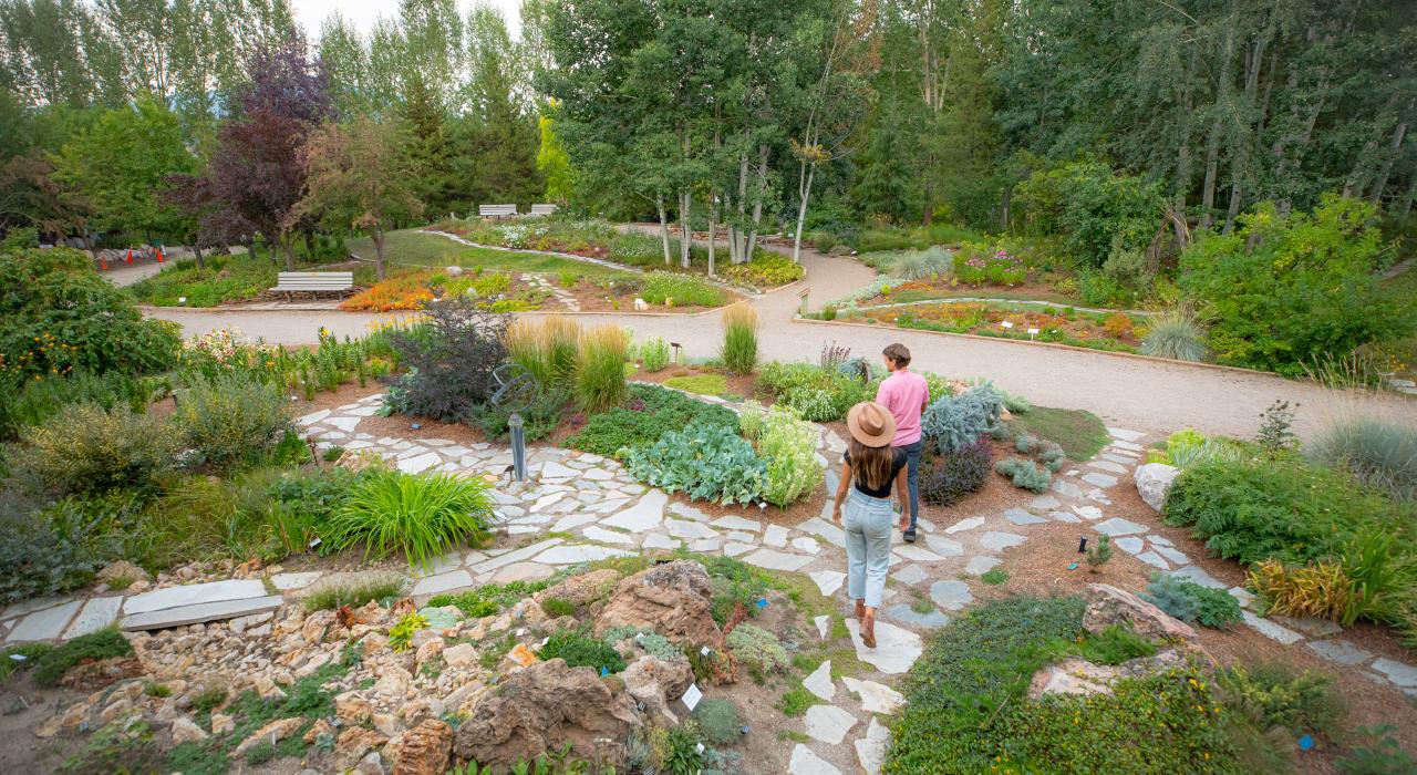 在扬帕河植物园欣赏斑斓草木