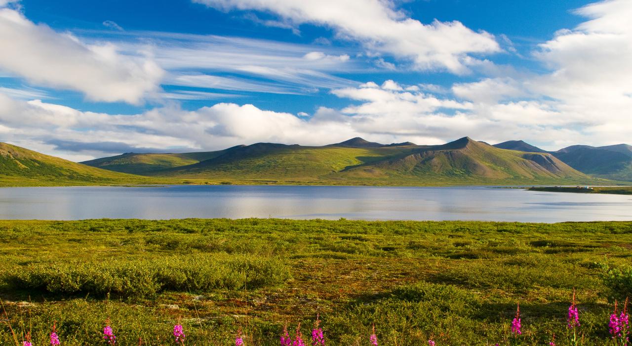 五彩缤纷的夏日山景