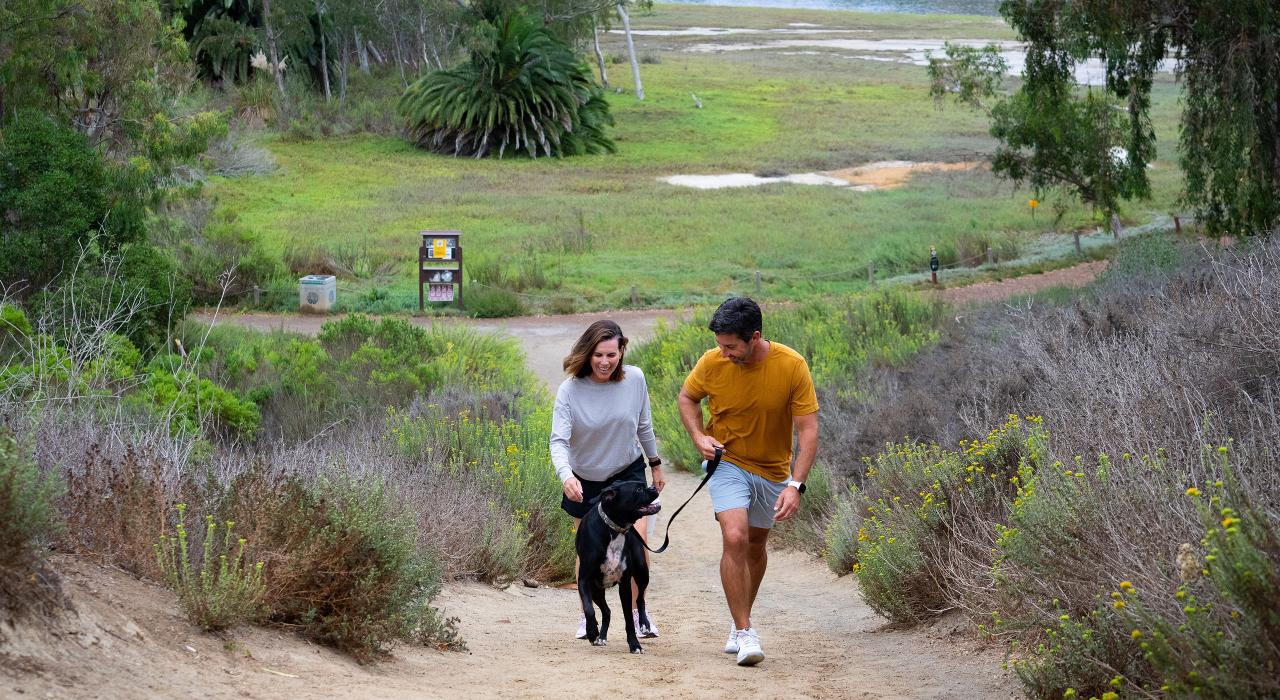 在 Batiquitos Lagoon 泻湖的自然小径享受宁静的徒步之旅