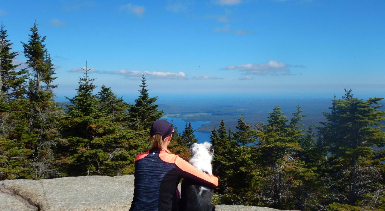 从莱昂山 (Lyon Mountain) 山顶俯瞰海岸