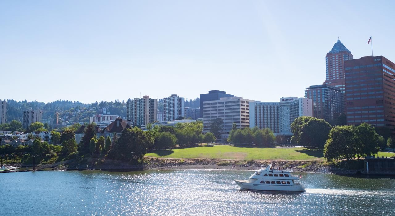 晴天里的汤姆·麦考滨水公园