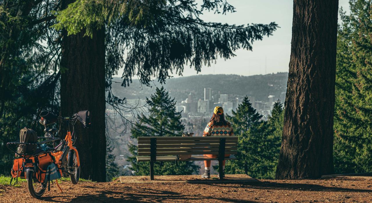 在塔布尔山公园纵览城市景观