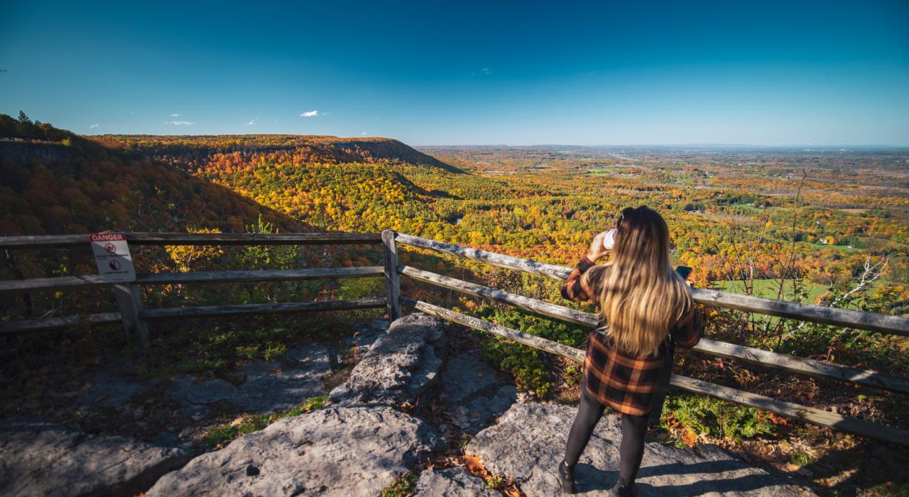 从约翰·博伊德·撒切尔州立公园欣赏纽约州奥尔巴尼的美景