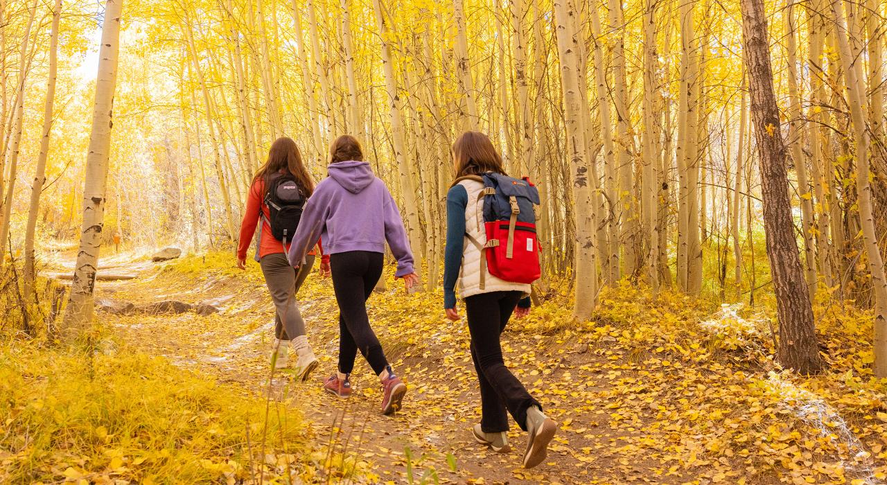 沿着风景优美的莫斯卡山口小径徒步旅行