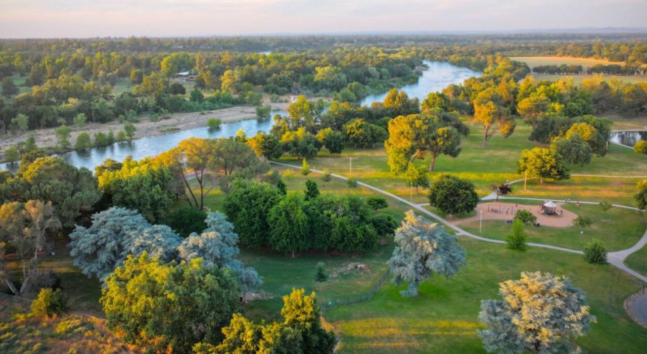 哈根社区公园的青翠景观