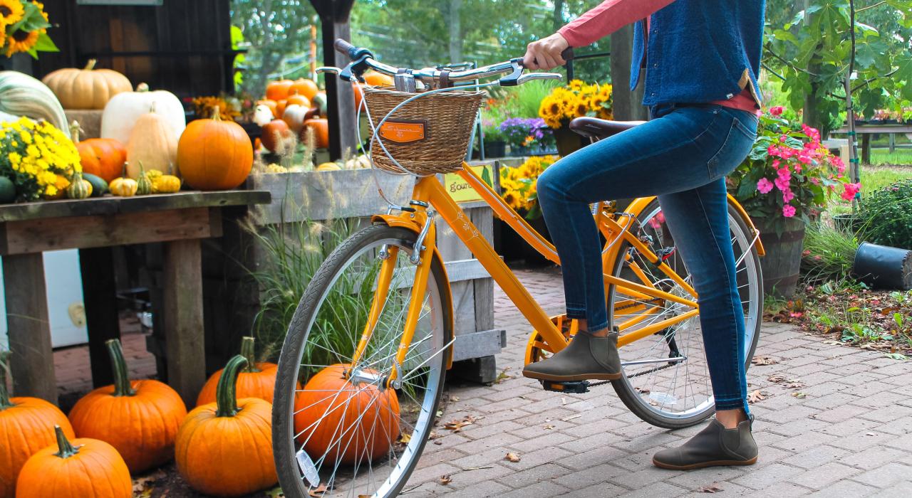 在埃德加敦 Morning Glory Farm 农场购买新鲜的当地特产