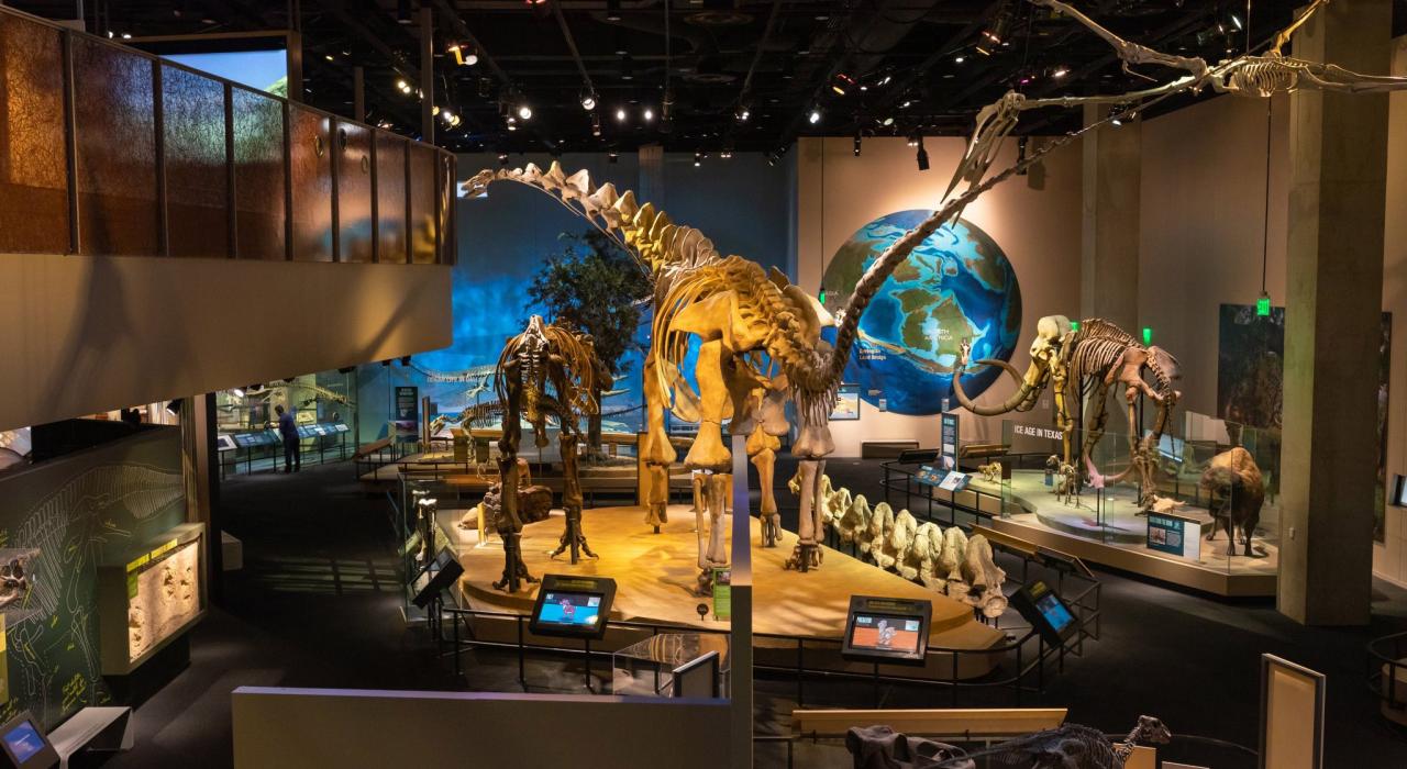 参观佩洛特自然科学博物馆的大型展览