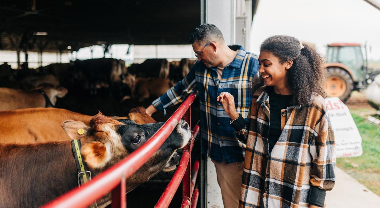在 Chaney's Dairy Bar 参加农场之旅