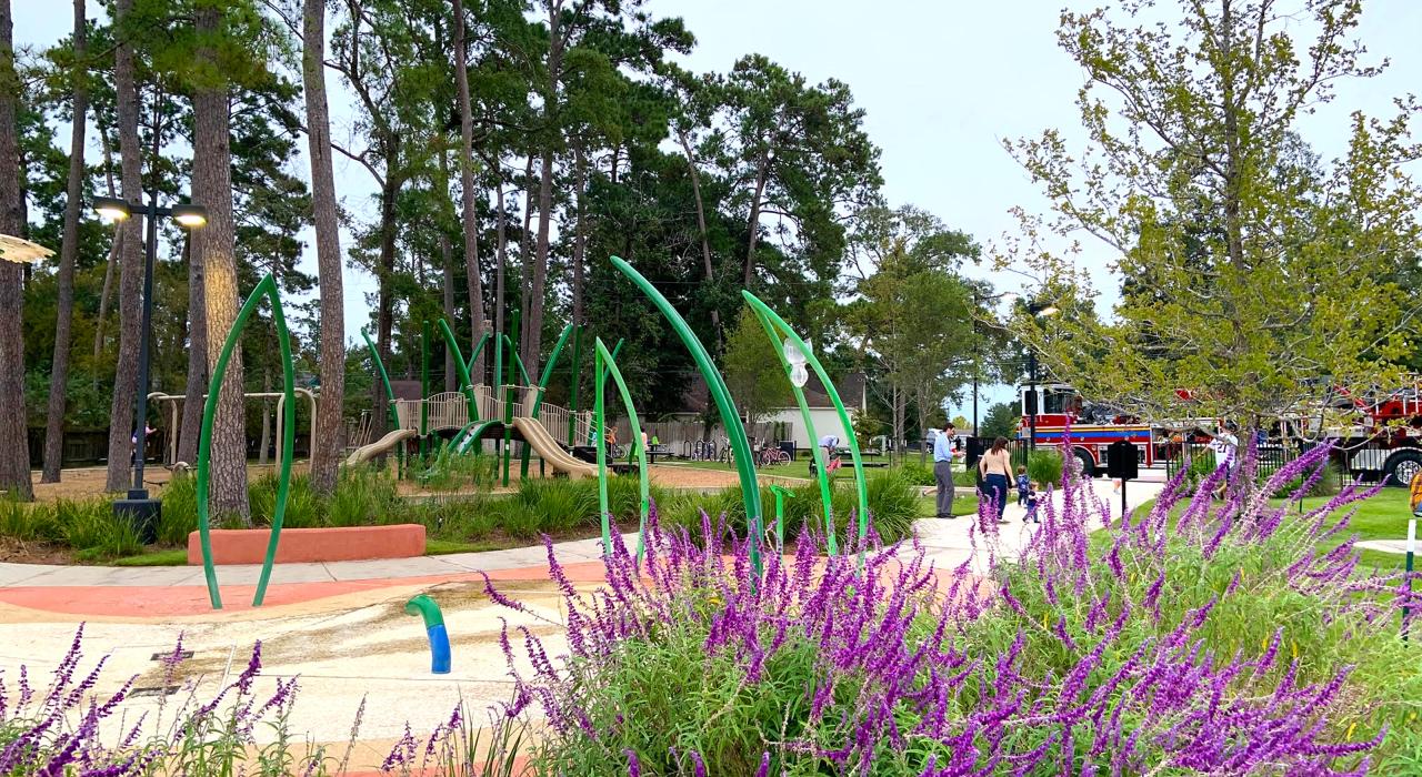 仙纳度城市公园里五颜六色的花朵