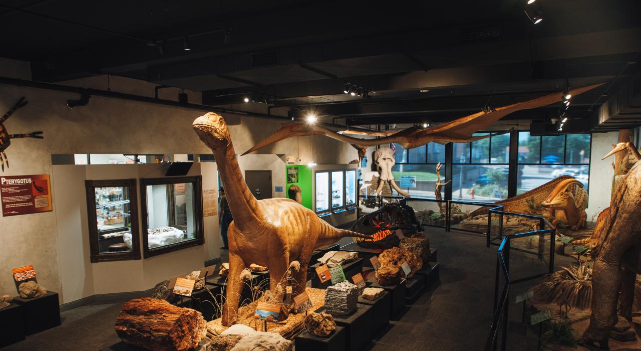 在圣吉纳维夫博物馆学习中心探索密苏里州的史前历史