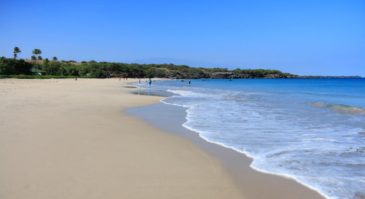 柯哈拉海岸哈普纳海滩州立休闲区内的白沙海滩