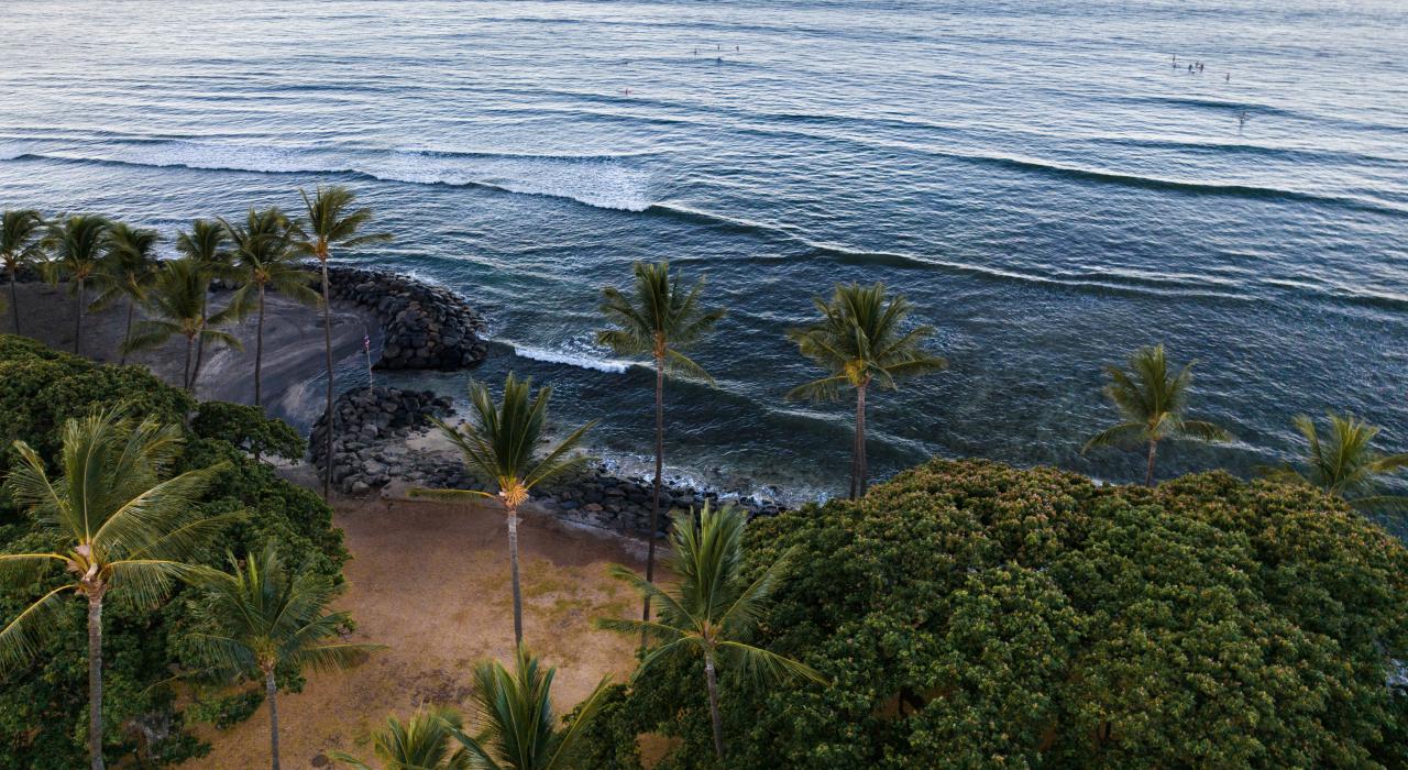 基黑海岸线上的热带天堂