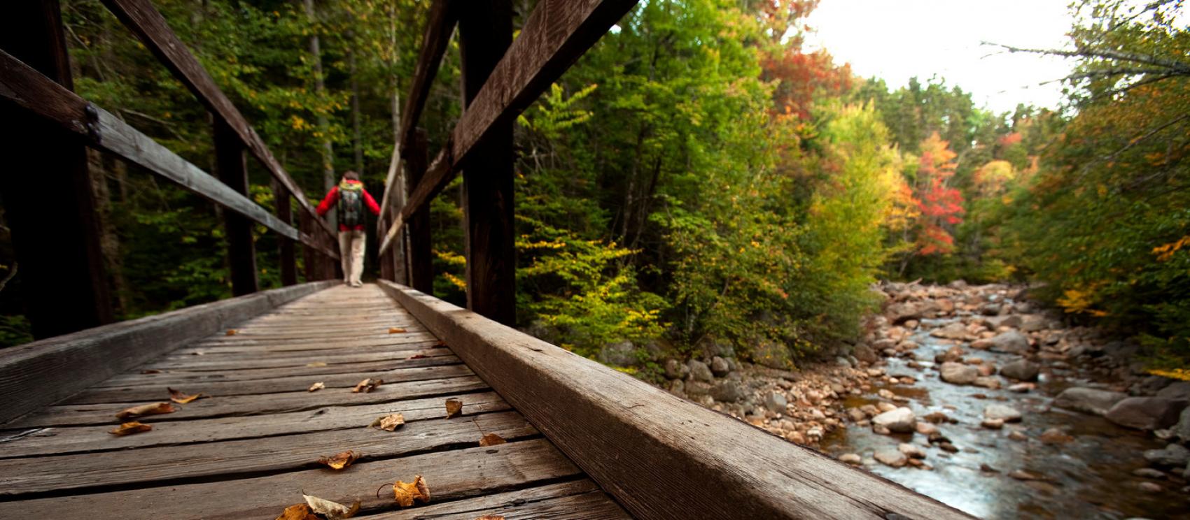 在白山山脉落叶间徒步远足