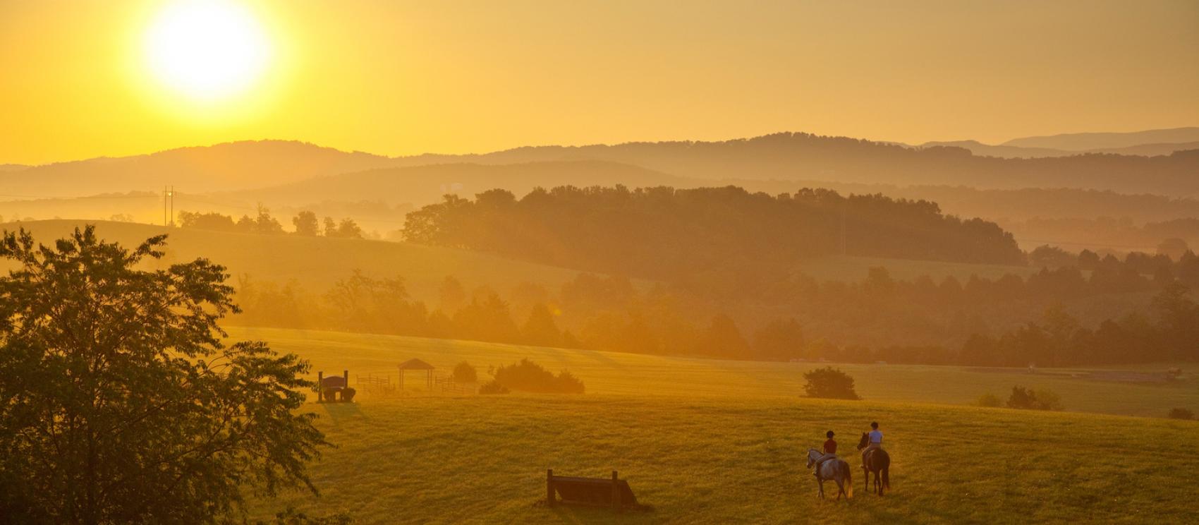 晨光在列克星敦弗吉尼亚马匹中心撒下温暖的辉芒