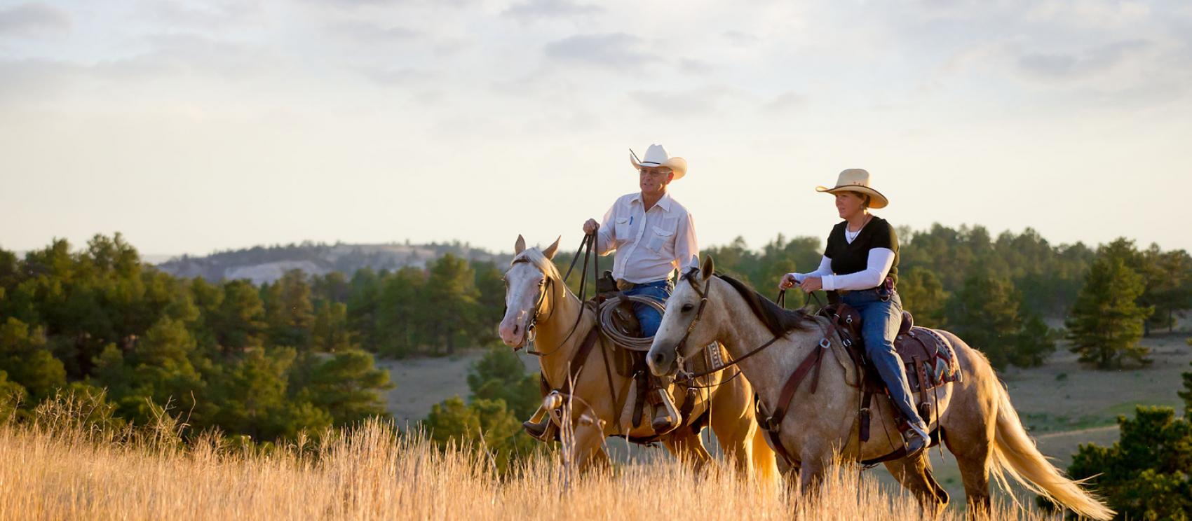 在大草原上骑马