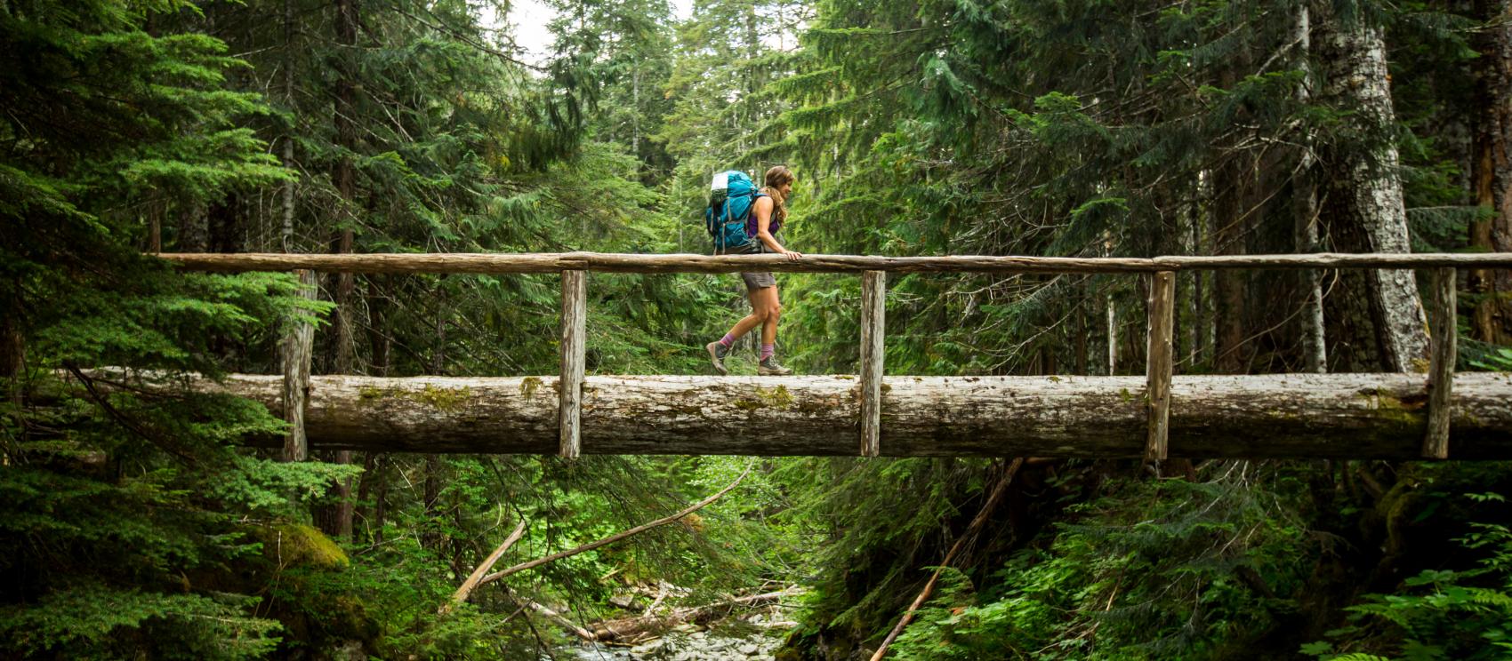 穿过奥林匹克国家公园的步行桥