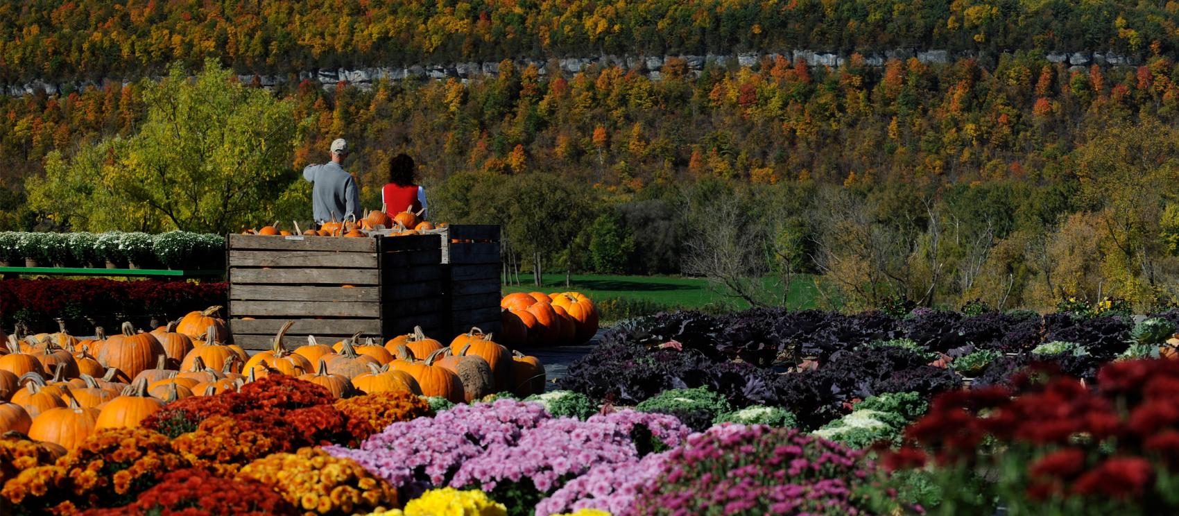 纽约州中部的秋季层林尽染，风景如画