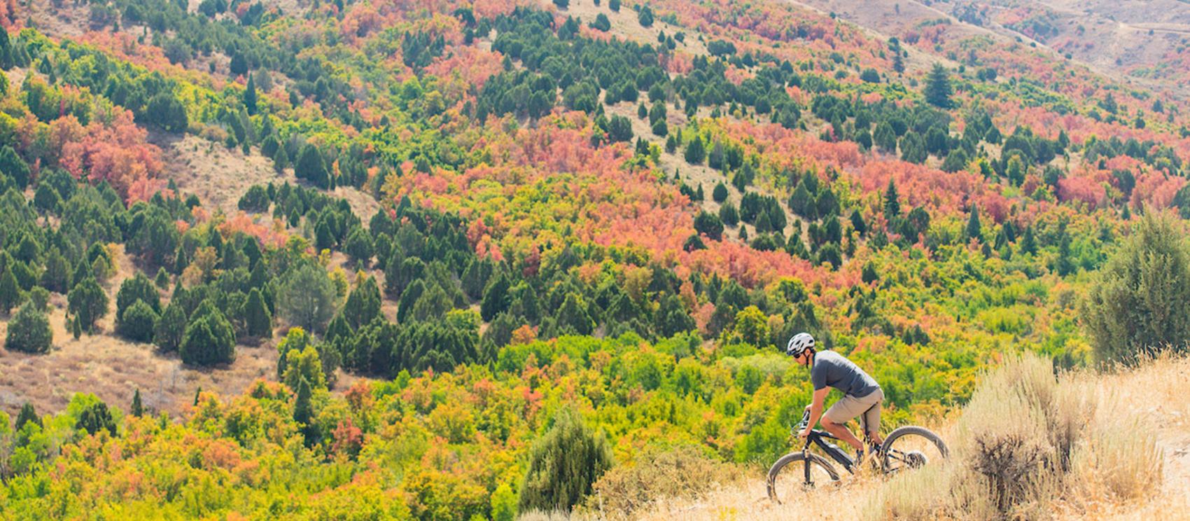波卡特洛的秋季山地骑行之旅