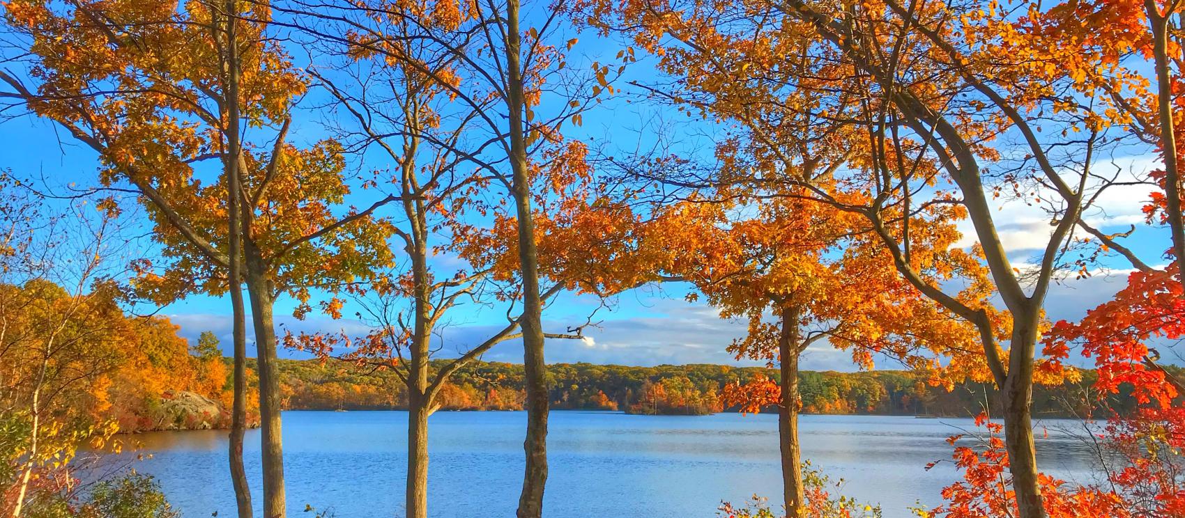 林肯伍兹州立公园秋天的景色
