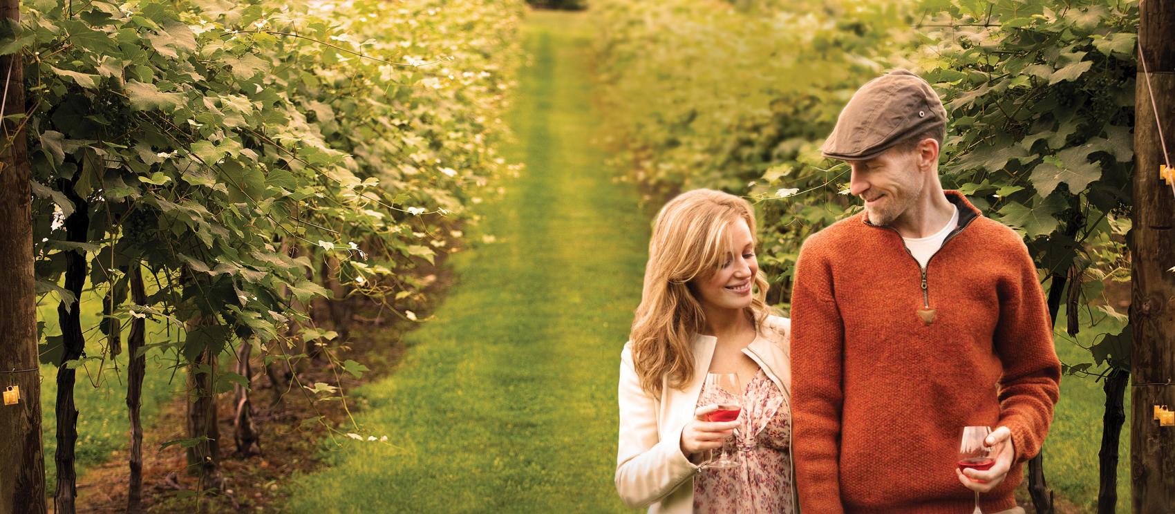 在华沙 Heritage Vineyard Winery 酒庄的葡萄藤间漫步