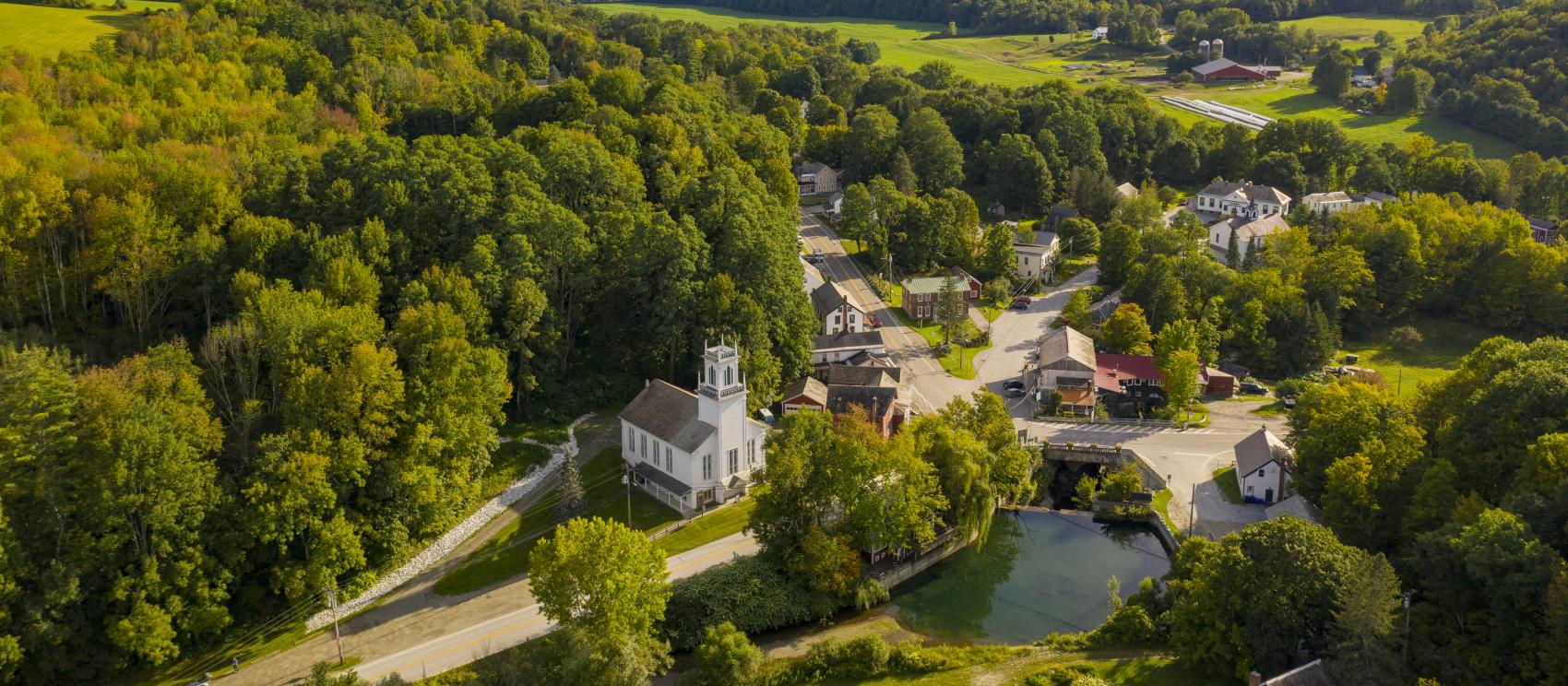 佛蒙特州 251 个城镇之一波莱特：郁郁葱葱的夏日林木