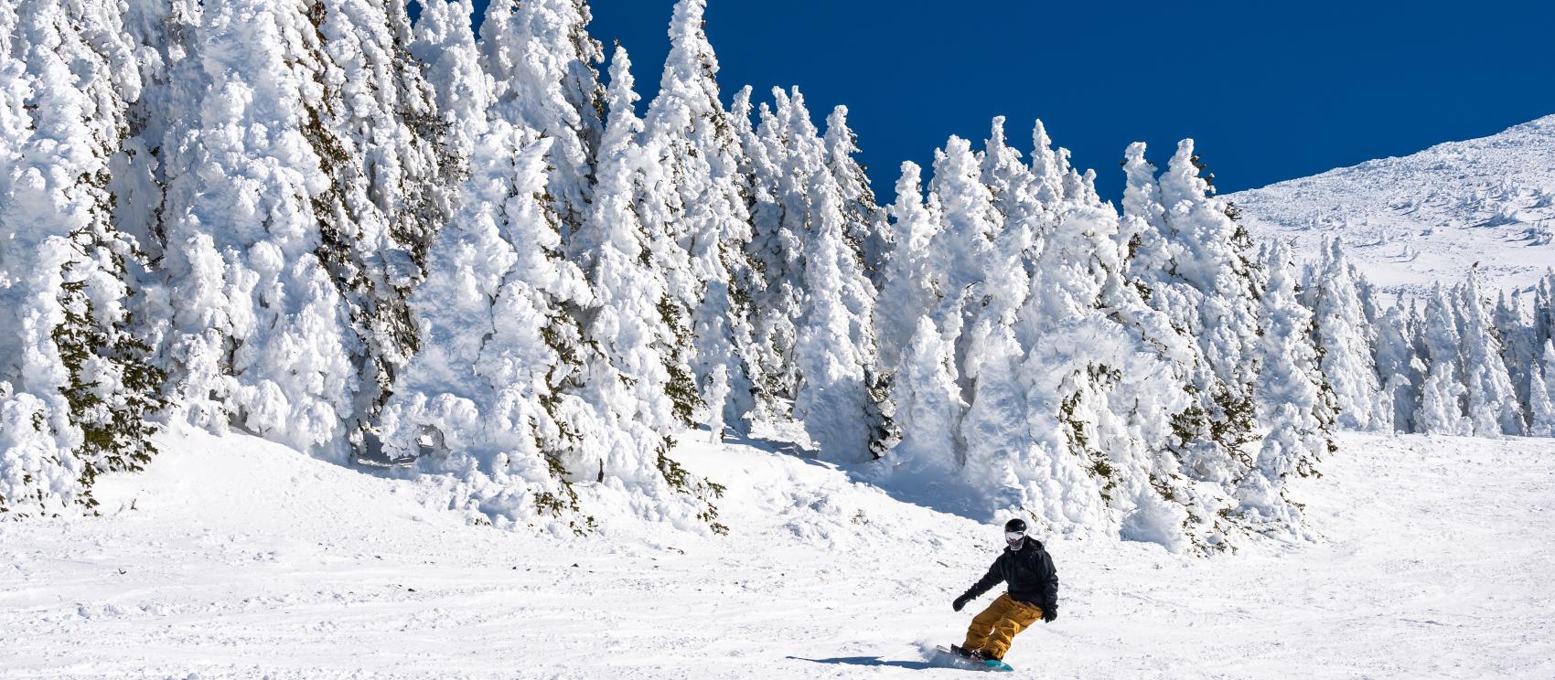 在亚利桑那州雪碗滑雪场单板滑雪，这是弗拉格斯塔夫的主要游玩项目