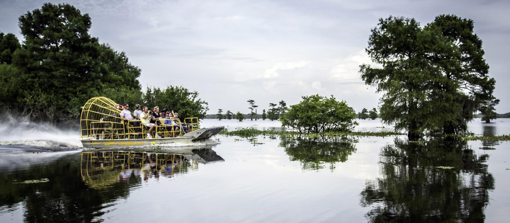 乘船游览阿查法拉亚水域，途中可在麦基观看路易斯安那州的沼泽地，在汉德森乘坐汽船